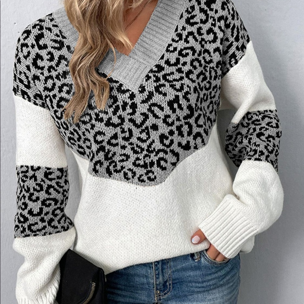Leopard Color Block V-Neck Ribbed Trim Sweater - Picture 10 of 10
